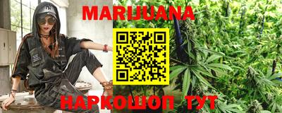 индика Лесосибирск