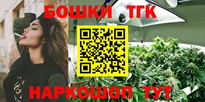 индика Лесосибирск