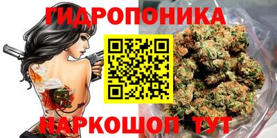 индика Лесосибирск