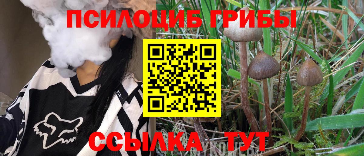 Пыть-Ях  Псилоцибиновые грибы мухоморы  Вход с VPN 