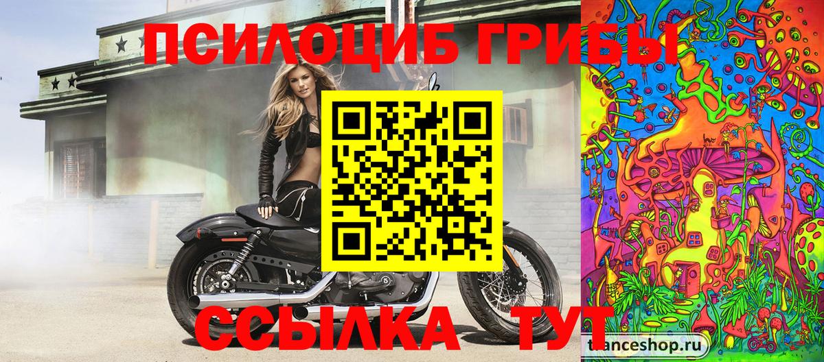 Галлюциногенные грибы прущие грибы Пыть-Ях